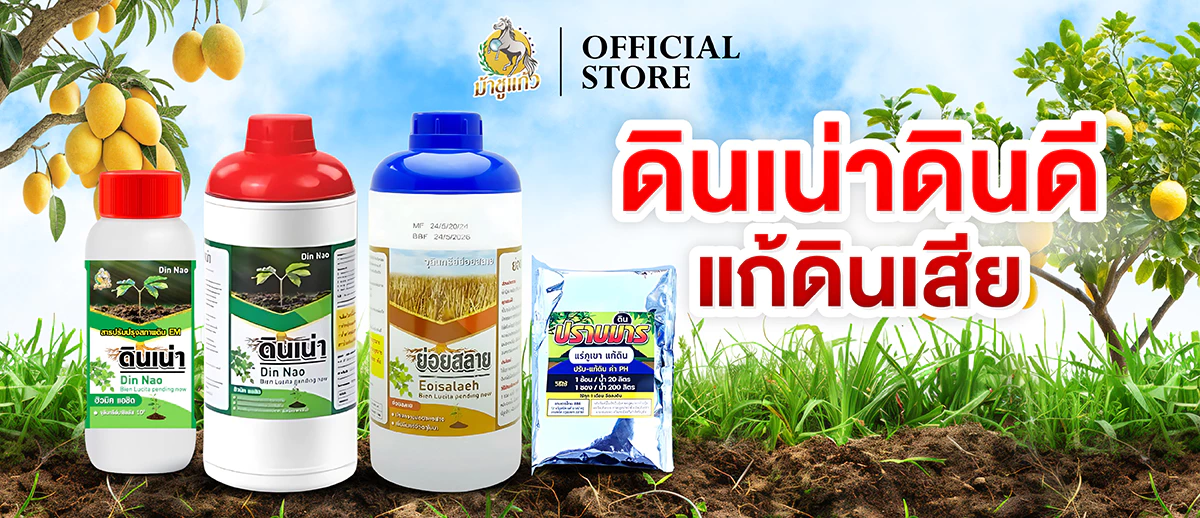 ดินเน่า สารปรับปรุงดิน