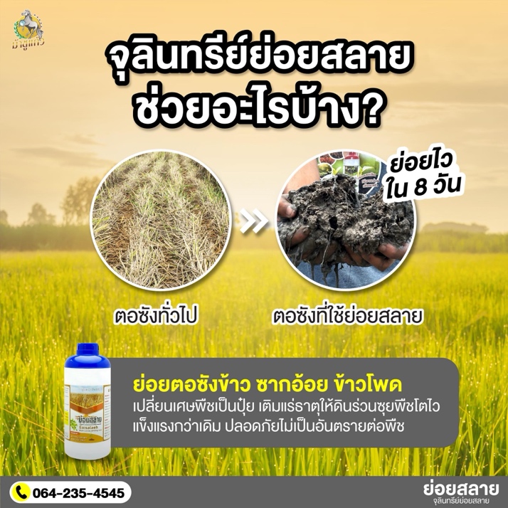 ปราบมาร